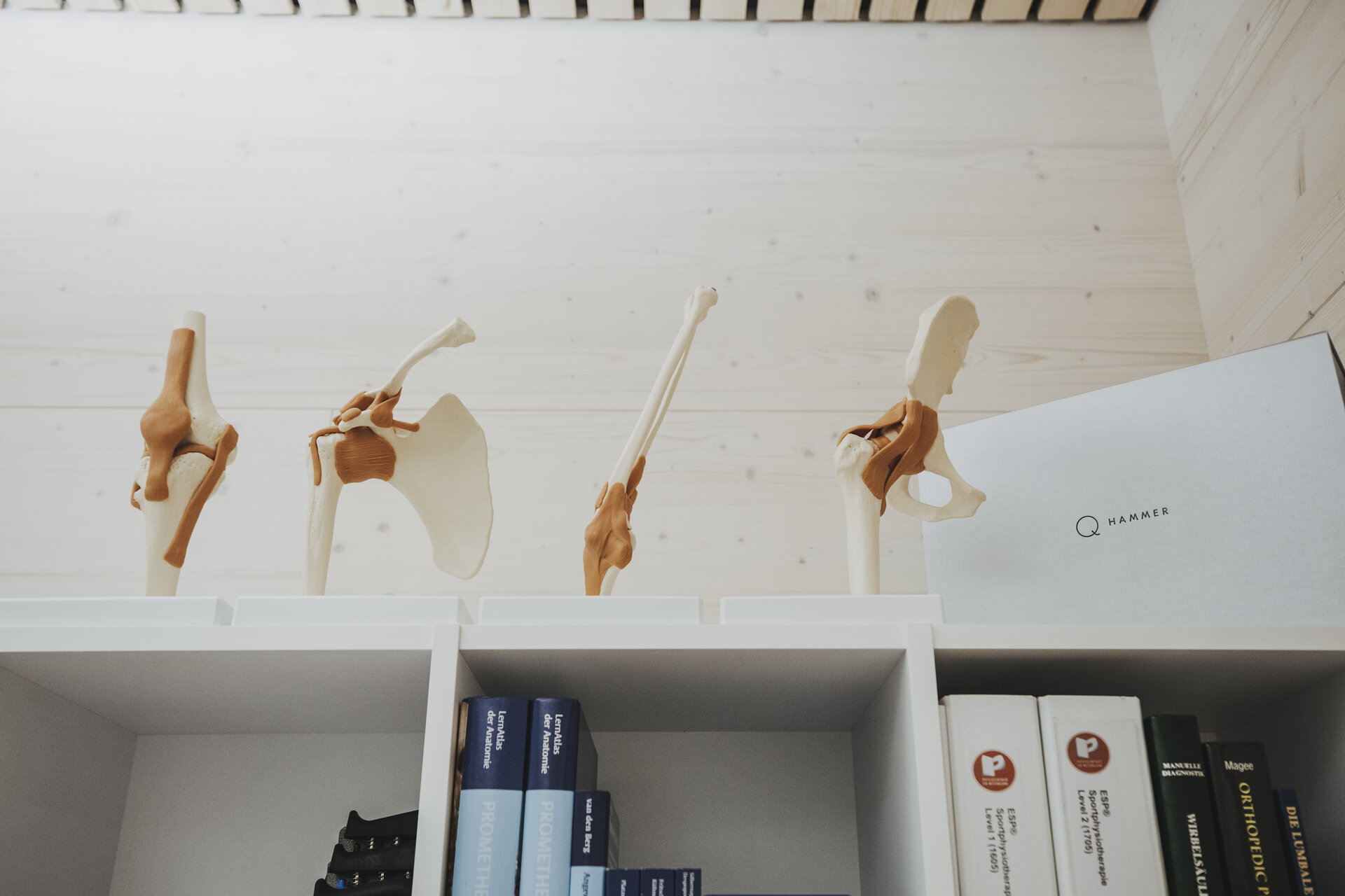 PHYSIO_M-ZWISCHENBRUGGER-5976